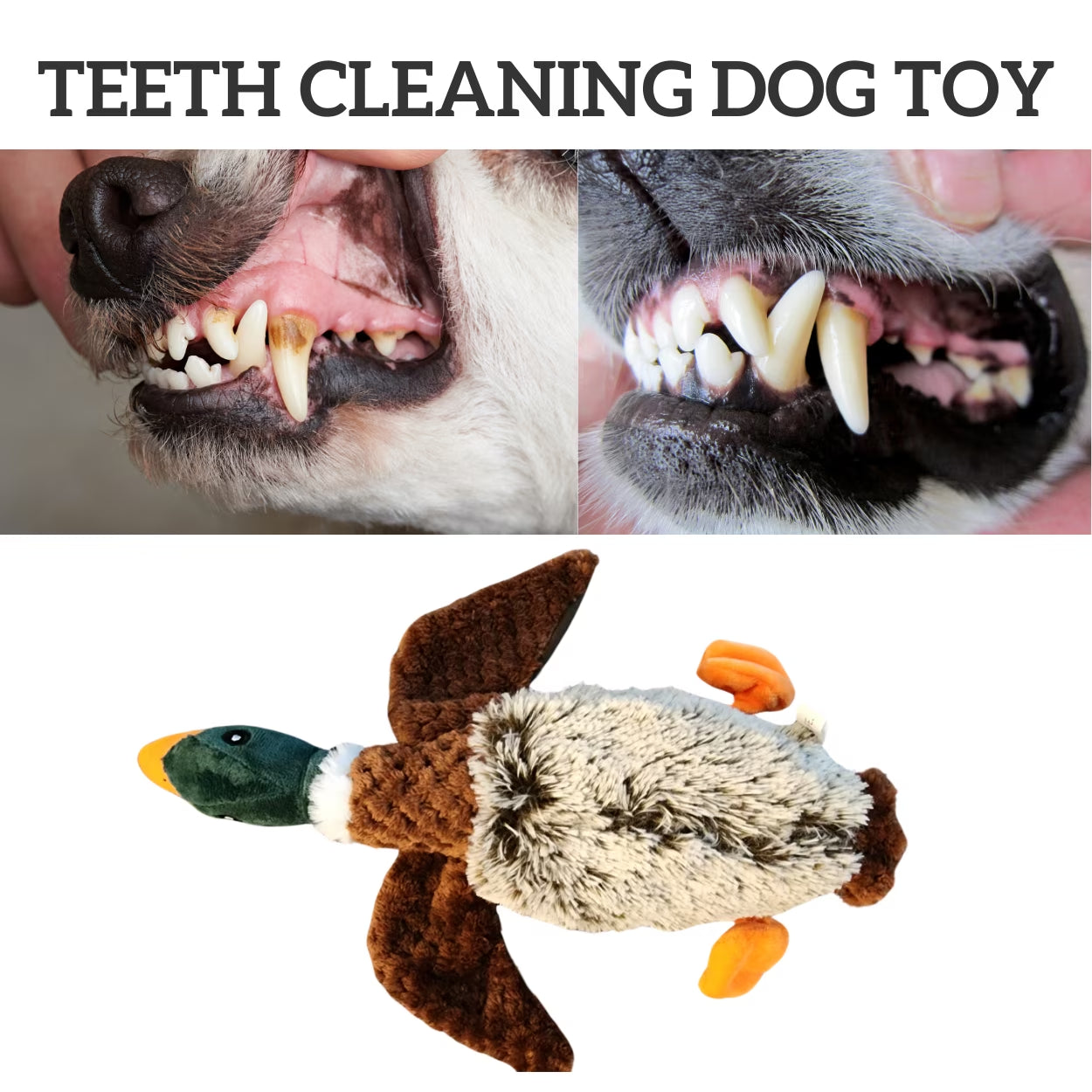 Plush Duck Dog Toy | Mallard-Shaped Toy | Duck-Shaped Pet Toys | Squeak Duck Dog Toy | Duck Dog Toys for Large Dogs | Mallard Duck Dog Toy | Dog Chew Toys | Aggressive Chewers