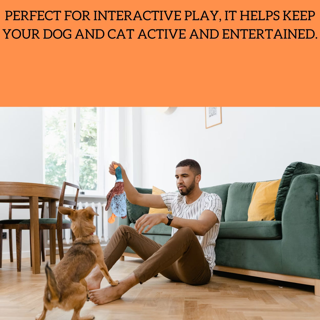 Plush Duck Dog Toy | Mallard-Shaped Toy | Duck-Shaped Pet Toys | Squeak Duck Dog Toy | Duck Dog Toys for Large Dogs | Mallard Duck Dog Toy | Dog Chew Toys | Aggressive Chewers