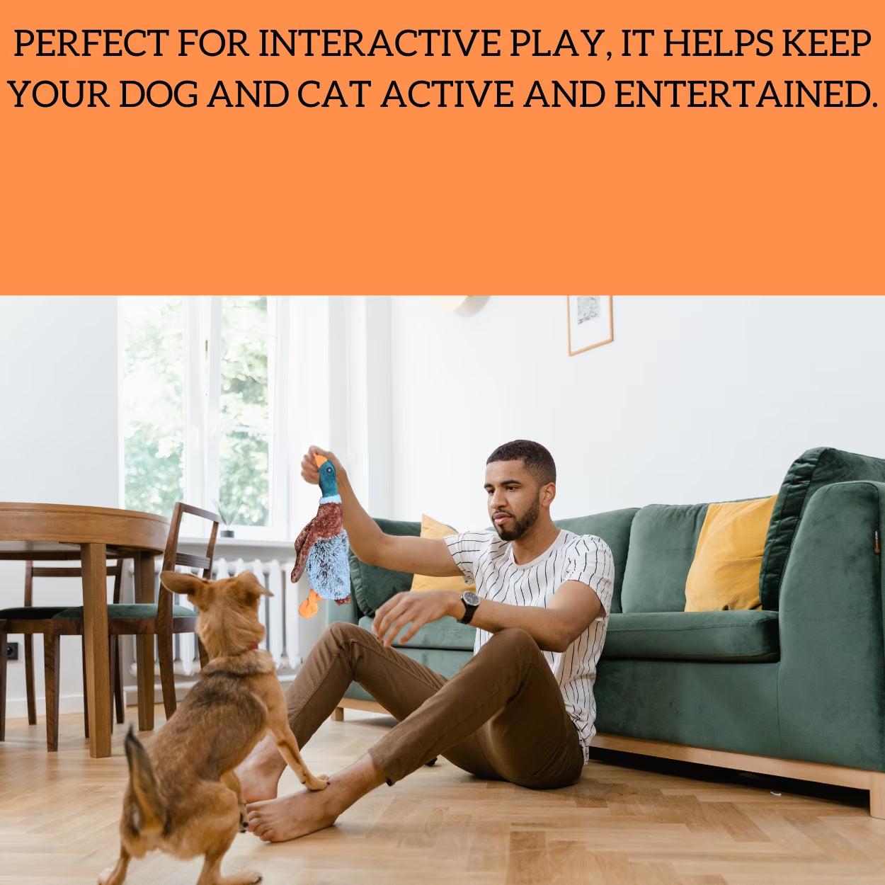 Plush Duck Dog Toy | Mallard-Shaped Toy | Duck-Shaped Pet Toys | Squeak Duck Dog Toy | Duck Dog Toys for Large Dogs | Mallard Duck Dog Toy | Dog Chew Toys | Aggressive Chewers